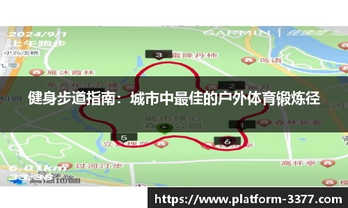 3377体育